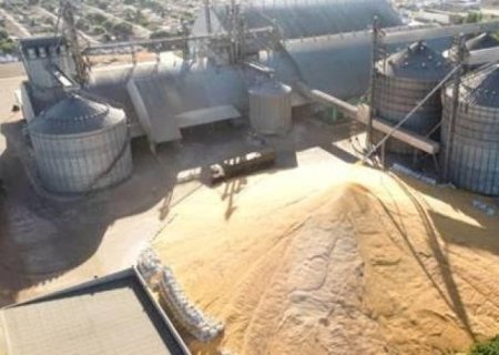 Por que há montanhas de milho ao relento no interior do Brasil