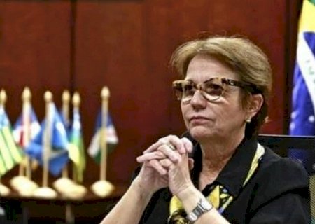Reforma Tributária: Agro buscará no Senado alíquota menor