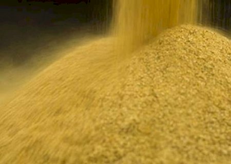 Brasil projeta alta na exportação de farelo de milho, coproduto do etanol