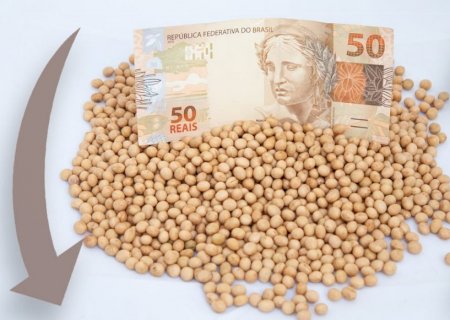 Veja como os preços da soja fecharam após relatório do USDA