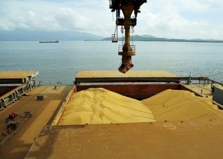 Brasil exporta 25,5% mais soja em julho. Milho também aumenta