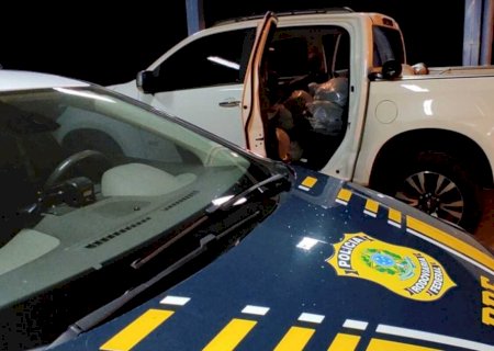 Polícia faz a sexta apreensão de cabelos do ano em MS