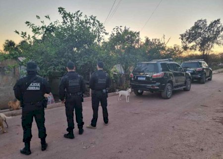 Após mortes de onças, Polícia Federal deflagra operação contra caça ilegal e cumpre mandados