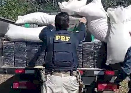 Ação conjunta apreende 3,6 toneladas de maconha na região de fronteira