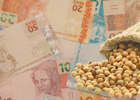 Confira como os preços da soja abriram a semana no Brasil