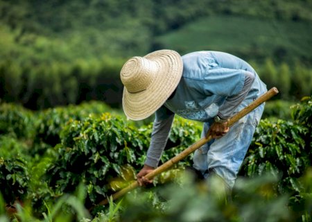 Número de pessoas atuando no agro renova recorde