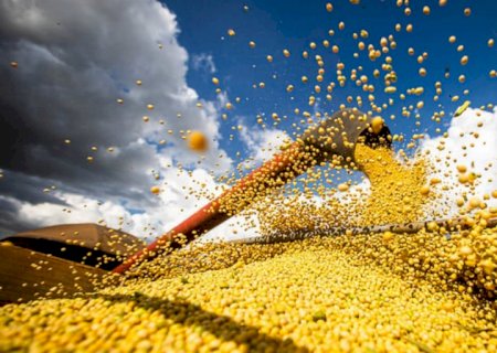 Agro brasileiro cresce 0,27% no segundo trimestre de 2023, aponta Cepea