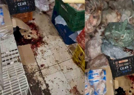 Dona de mercado é presa e 1 tonelada de carne podre é apreendida.