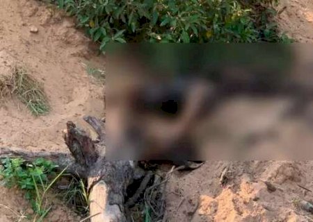 Funcionários encontram corpo em decomposição dentro de fazenda