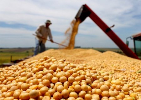 SOJA: Preços do grão e do farelo seguem enfraquecidos, mas os do óleo sobem