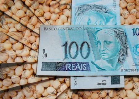 Veja os preços da soja no Brasil no feriado