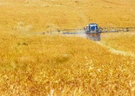 Israel é importante fornecedor de fertilizantes; guerra afeta o setor?