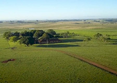 Agro precisa de recursos para subvenção do seguro rural