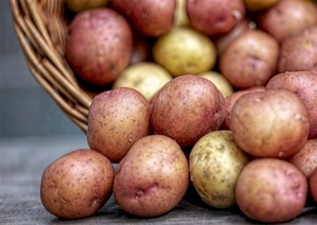 Batata registra alta nos preços. O que aconteceu?