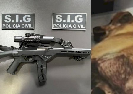 Homem que atirou em cachorro tem rifle apreendido e vai responder por maus-tratos