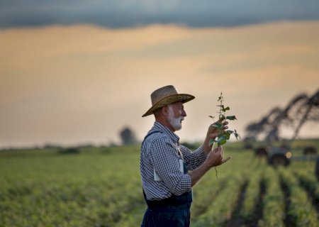 Chuvas irregulares e altas temperaturas impactam cultivos