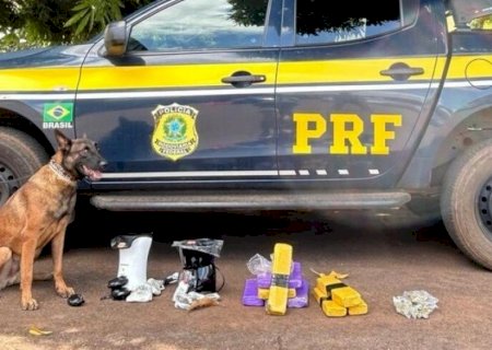 Ação conjunta da PRF e Correios resulta na apreensão de maconha e haxixe nas encomendas