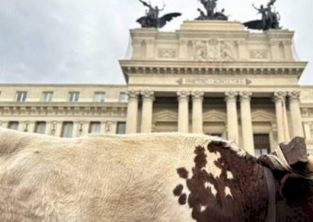 Agricultores levam bois e tratores em protesto na Espanha contra UE