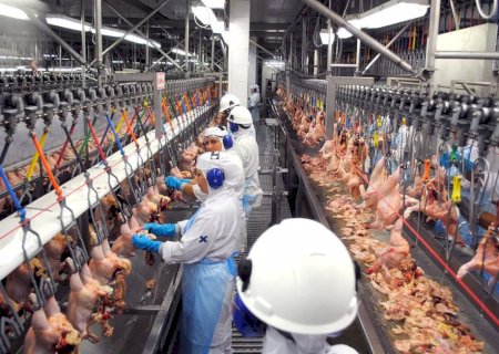 Exportações de frango do Brasil devem subir 4% em 2024, diz USDA