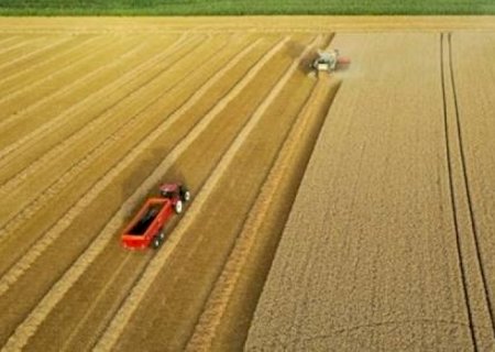 Safra de soja cairá 7,4% ante ciclo anterior, prevê Pátria