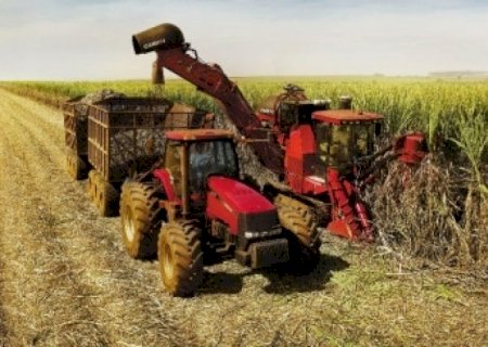 Brasil fecha safra 2023/24 de cana com recorde de 700 milhões de toneladas