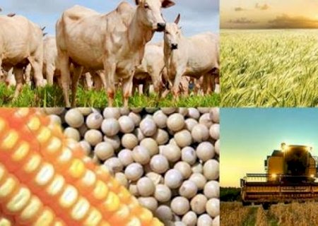 Receita agrícola deve cair 3,5% este ano, a R$ 916,1 bi