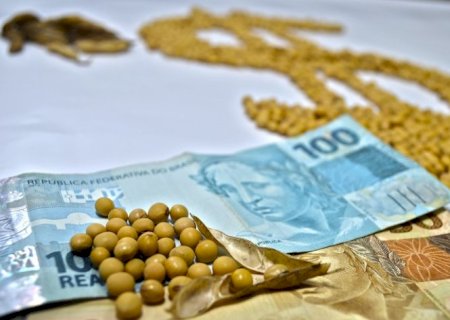 Produtores de MS podem solicitar renegociação de dívidas agrícolas até 31 de maio