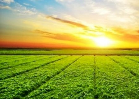 Agro vai continuar crescendo, mas produtores precisam de apoio