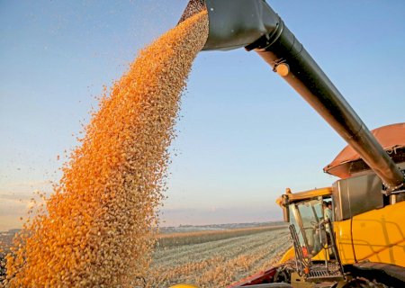 PIB deve sofrer com quebra de safra brasileira de grãos