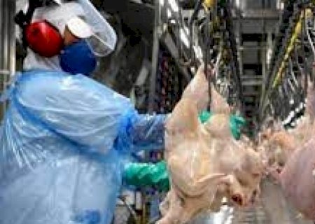 Abertura de Lesoto amplia presença brasileira no mercado africano