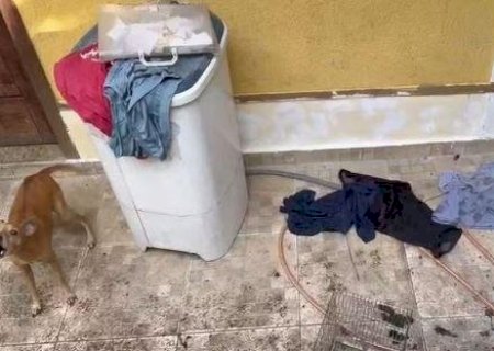 Adolescente mata pais a marteladas após ser impedido de faltar aula e sai para lanchar no RJ