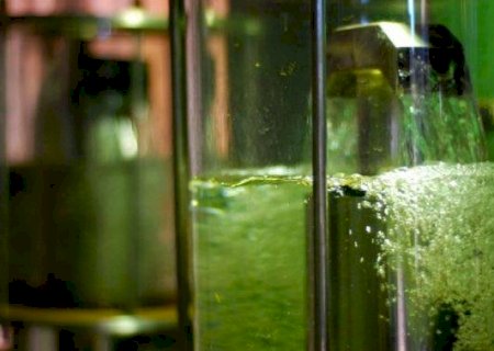 Etanol: maior oferta de produto pressiona preços