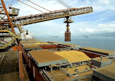 Preços da soja voltam a operar nos maiores patamares do ano