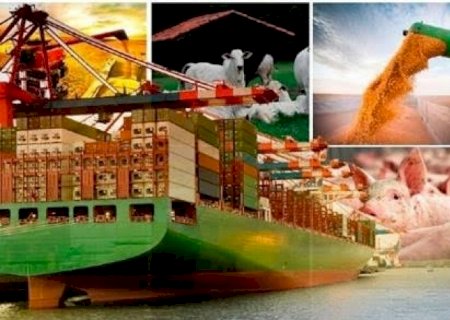 Em 35 anos Brasil se transformou de importador a exportador de alimentos