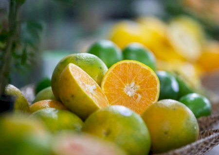 Laranja: exportações de suco estão em queda mas receita aumenta