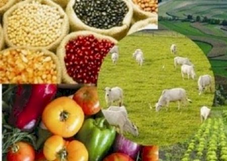 Preços agropecuários caem no campo em maio e alta do arroz perde fôlego
