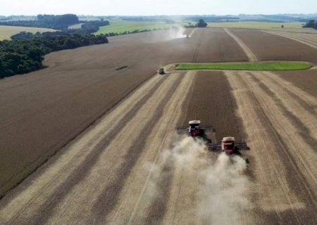 Biocombustível, não China, é agora fator para avanço da soja no Brasil
