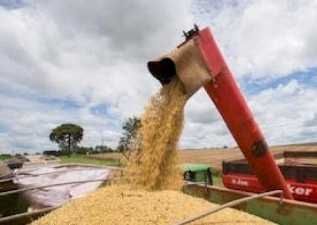 Limitação do uso do PIS/Cofins pode custar R$ 10 bi ao ano para o agro