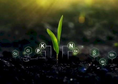 Empresas disputam mercado de R$ 5 bi com bioinsumos no Centro-Oeste