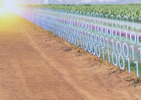 Tokenização global do agro é um mercado potencial de US$ 2,32 trilhões