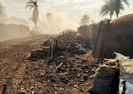 PMA de Batayporã autua dono de carvoaria em mais de R$ 21 mil no município de Nova Andradina
