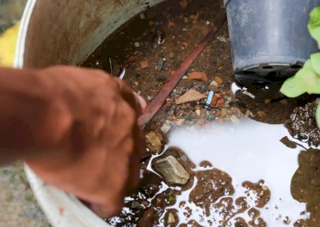 Brasil ultrapassa marca de 5 mil mortes por dengue