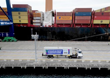 Exportações de trigo pelo Brasil em 2024 já superam todo o ano passado