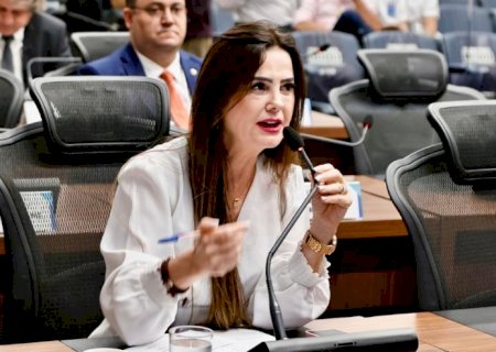 Camapuã: Mara Caseiro solicita maior segurança em ponte de concreto
