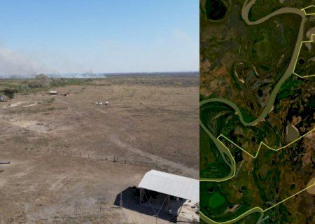 PF prende dois em operação contra incêndio no Pantanal e apreende gado em área afetada