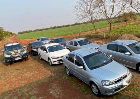 PRF apreende comboio de sete veículos com mercadorias estrangeiras em Nova Alvorada do Sul