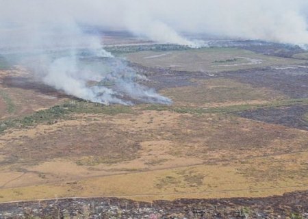 Suspeitos de incêndio criminoso no Pantanal são alvo de operação da PF