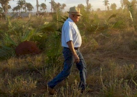 Projeto une pecuária e crédito de carbono em área de floresta nativa