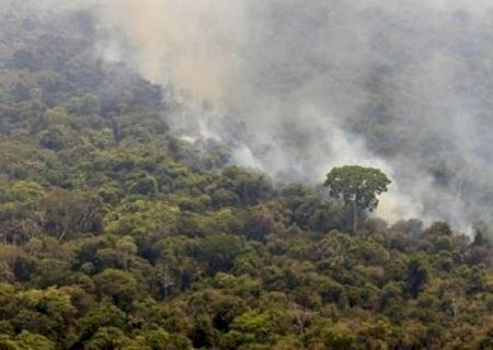 Degradação da amazônia por fogo explode em 2024 e é a maior em 15 anos | Brasilagro