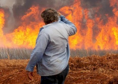 Entidades empresariais cobram medidas contra queimadas